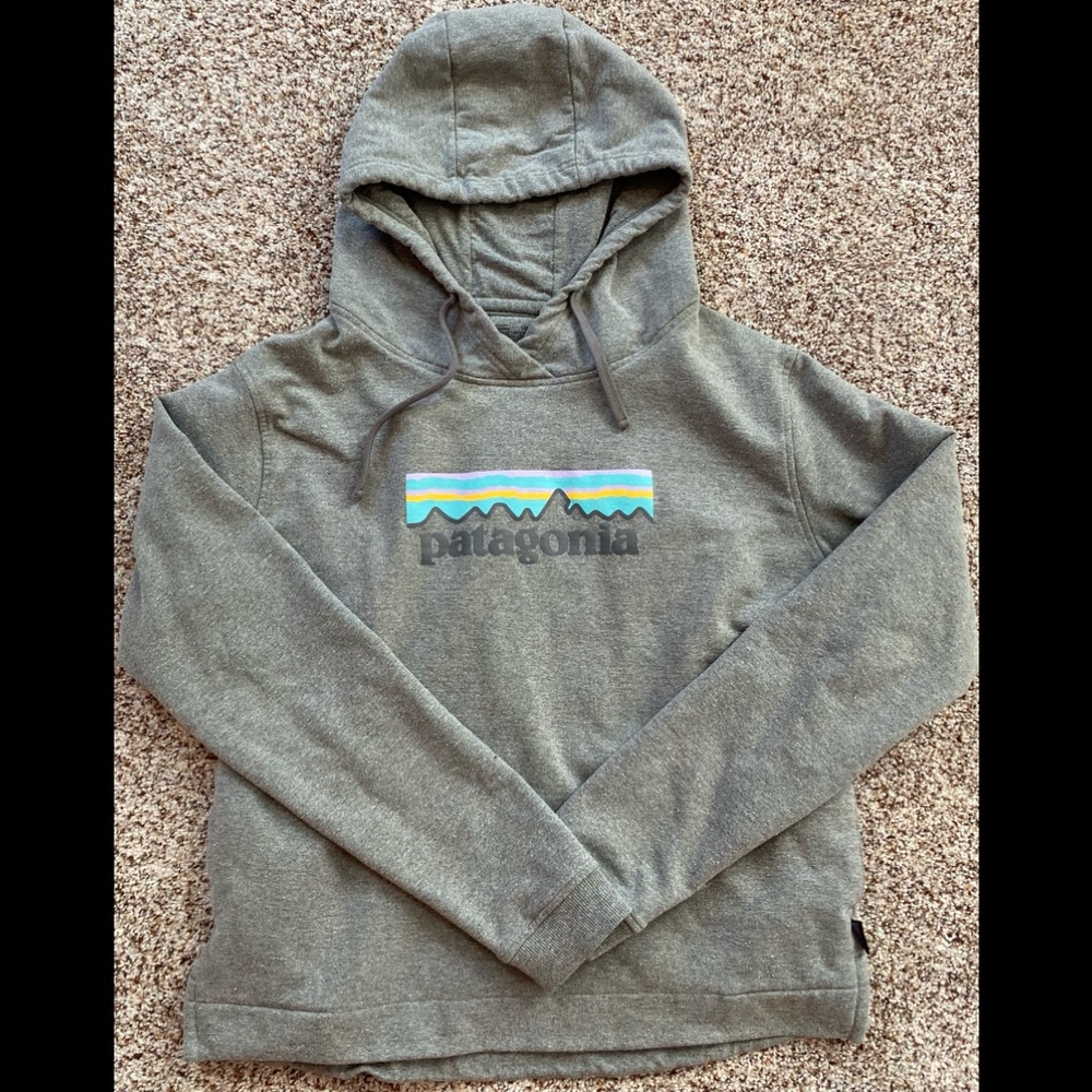 Patagonia Hoodie SZ L, GREAT CONDITION